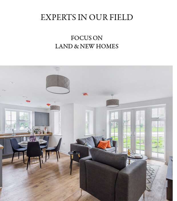 Robert Leech Your Trusted Estate Agent Partner