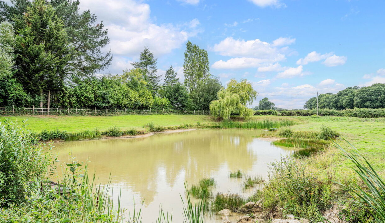 STARLINE-FARM-_12__1753702009564