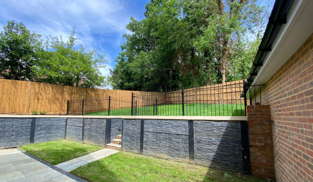 Backgarden_1748527517394
