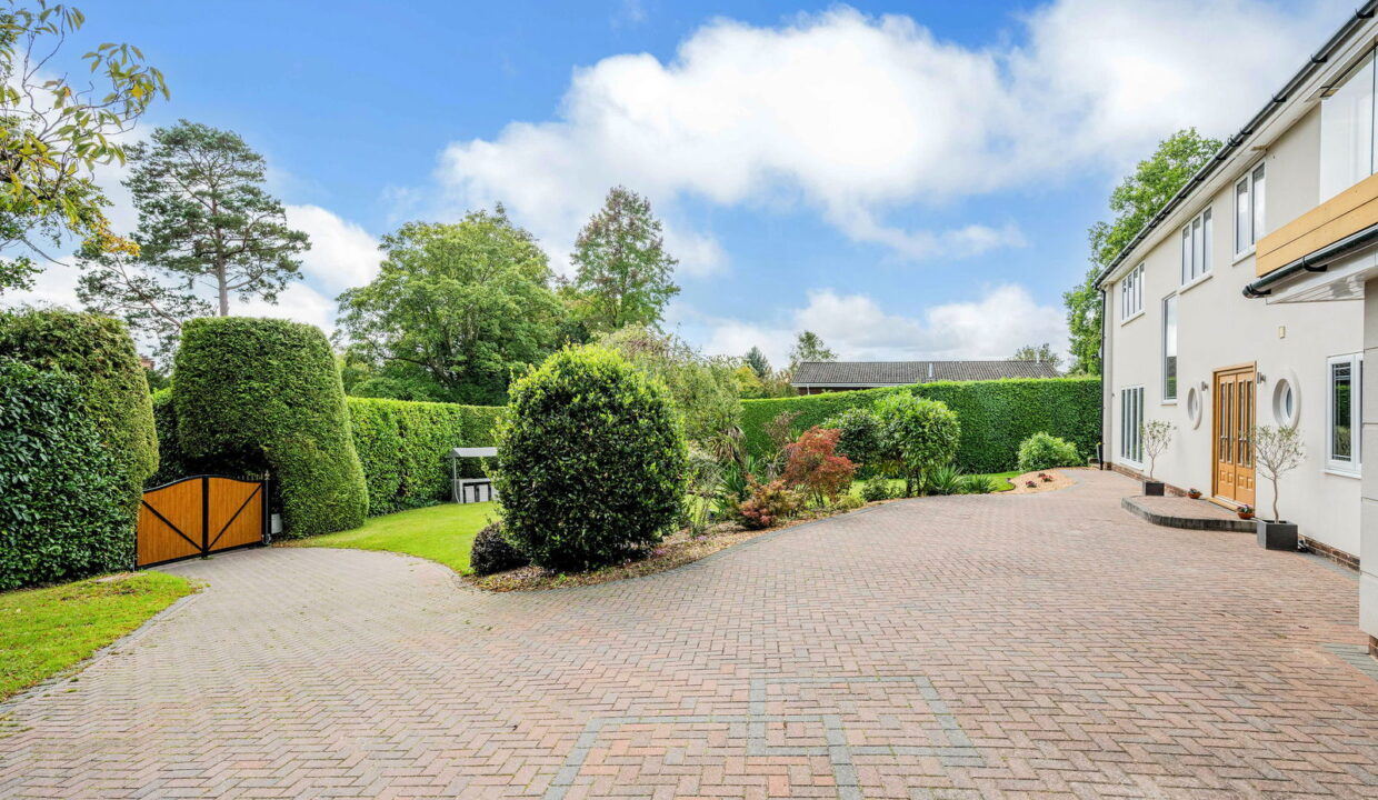 NIGHTINGALE-_5__1758184787285