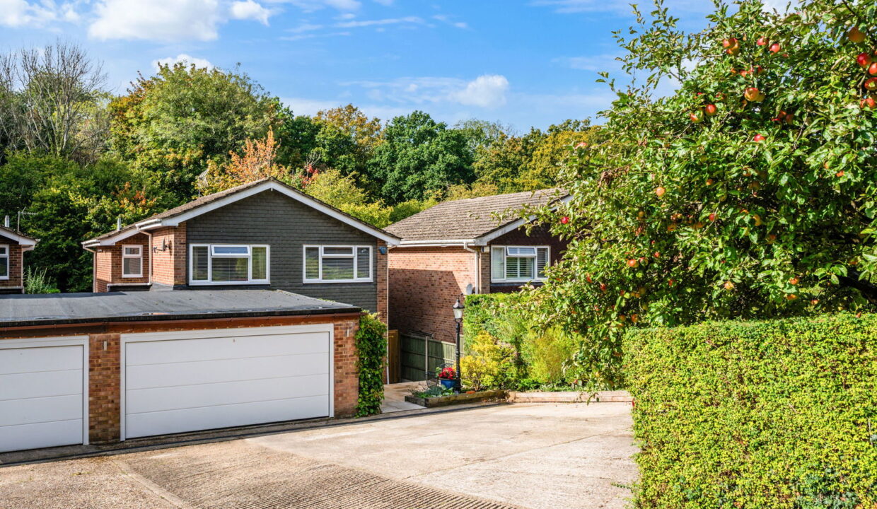 THE-GROVE_-176-_1__1758797233817