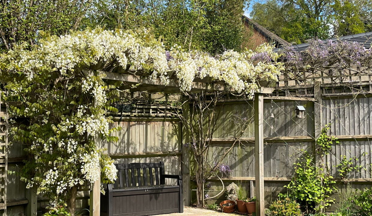 IMG_8685_1759329059442