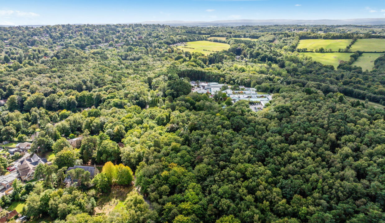 ROBERT-LEECH-LAND-AND-NEW-HOMES-CROWBOROUGH-_5__1758805969008