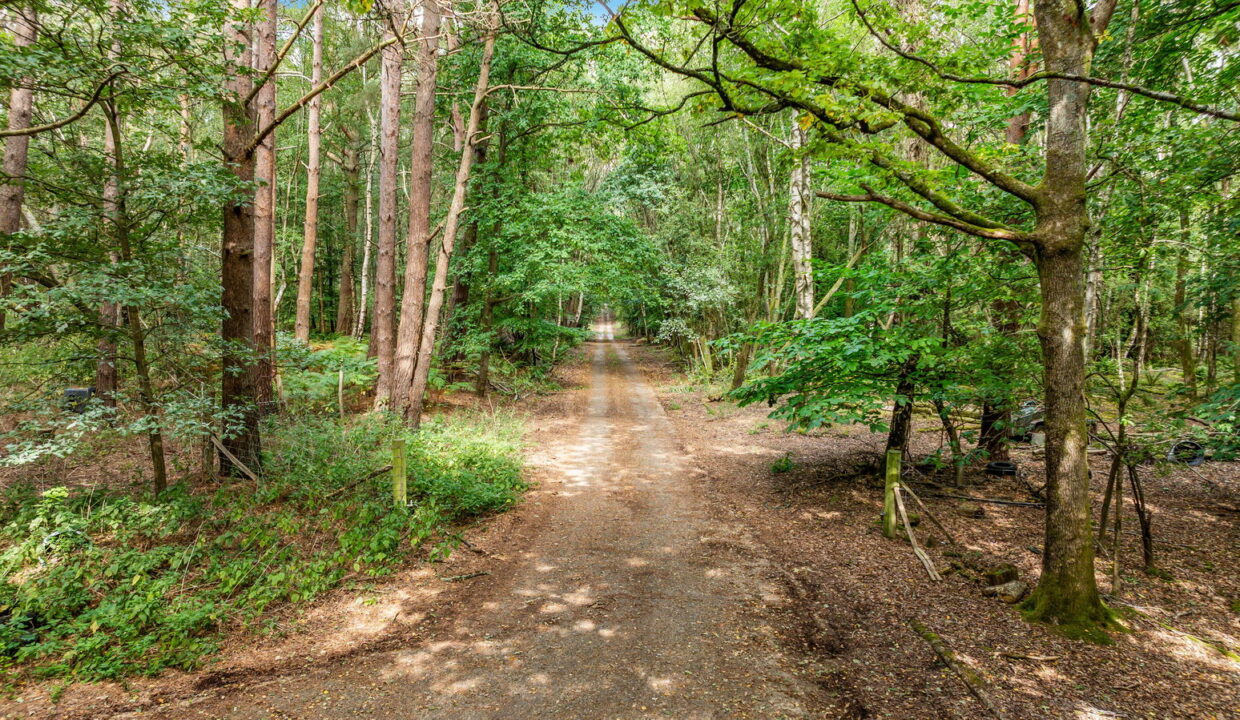 ROBERT-LEECH-LAND-AND-NEW-HOMES-CROWBOROUGH-_9__1758805996962