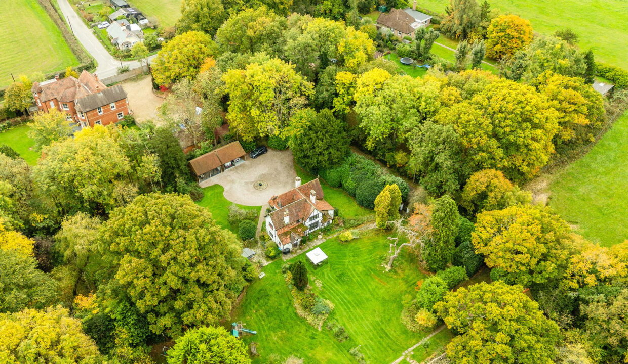 SELECTED-1-_11__1761150731848