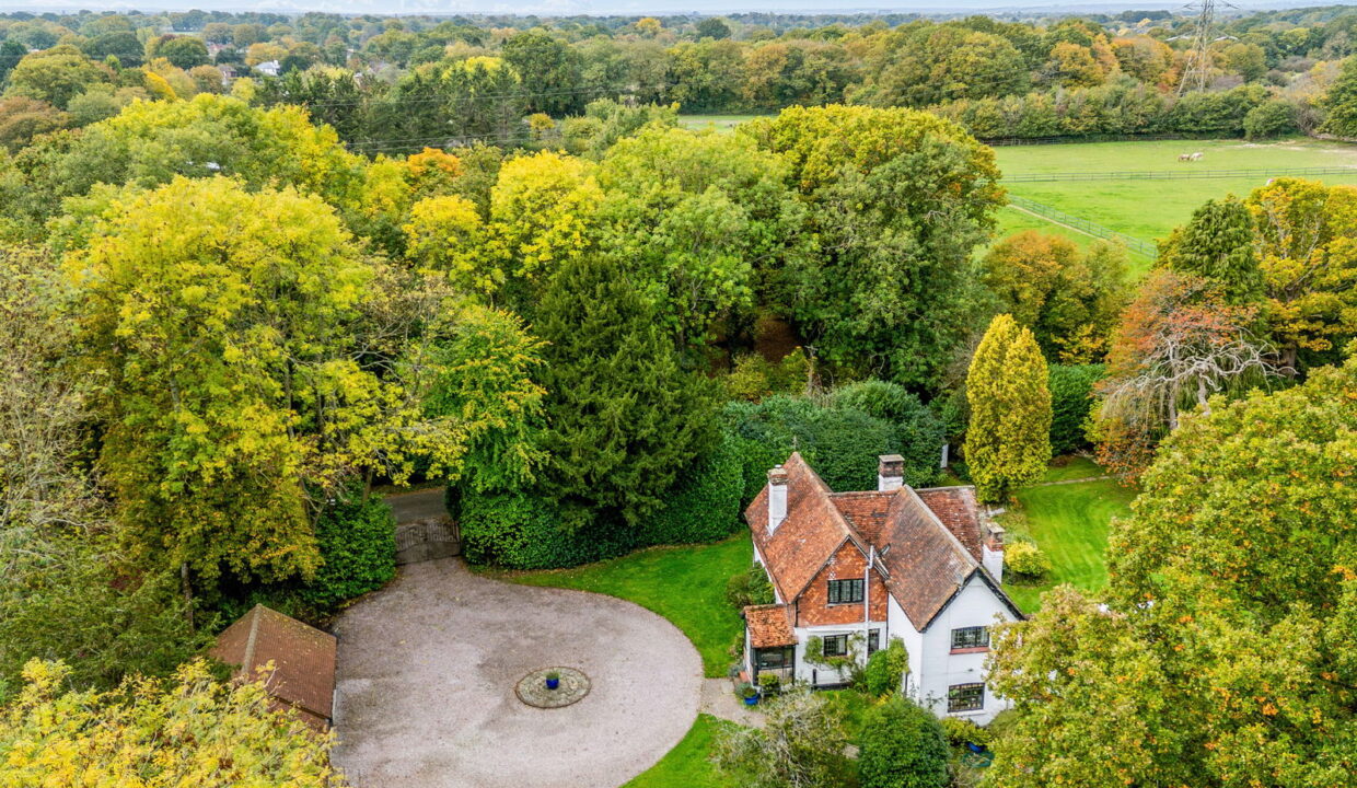 SELECTED-1-_15__1761150771704