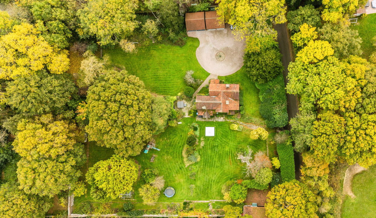 SELECTED-1-_18__1761150803906