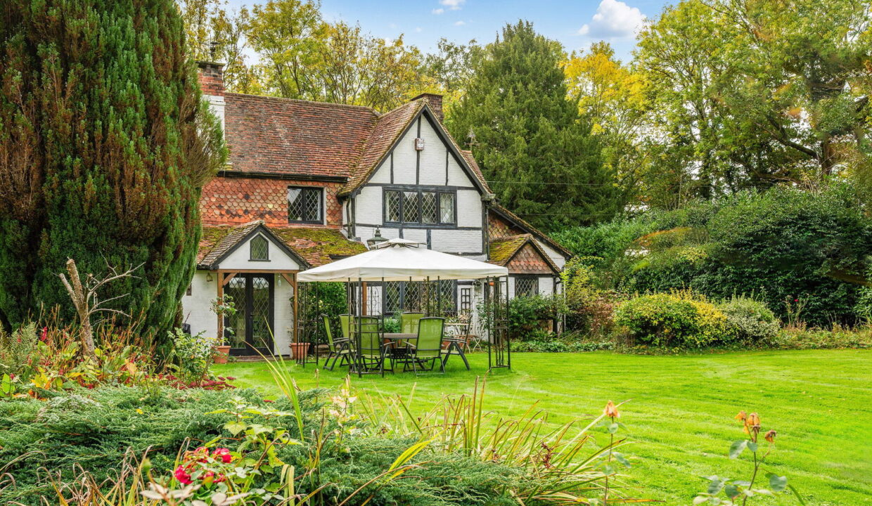 SELECTED-1-_7__1761151870116