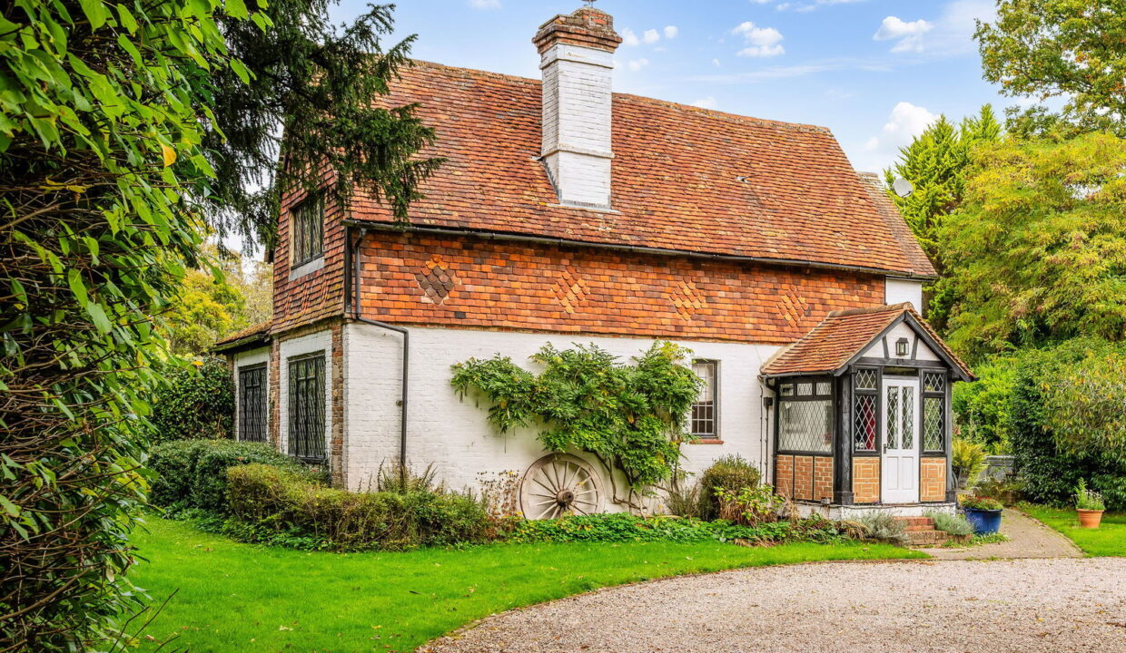 SELECTED-1-_8__1761151941055