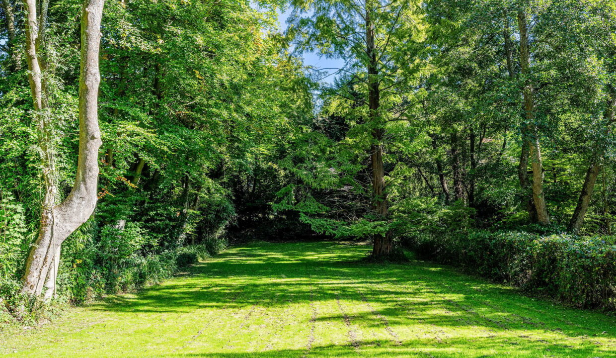 TREETOPS-_6__1759836145156