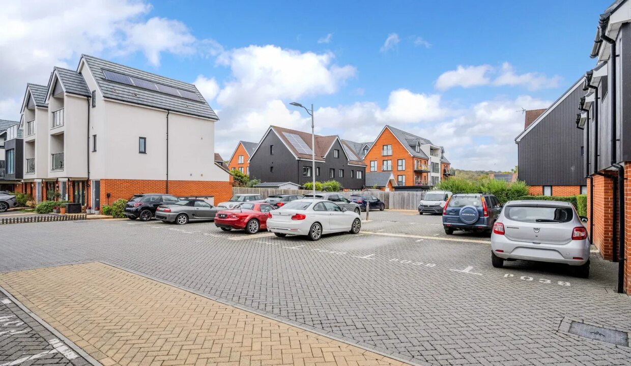 photo12_1761839885475