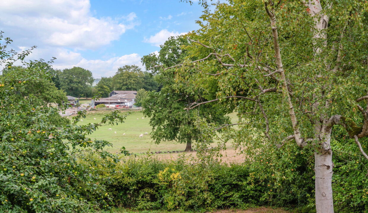 LAGHAM-PARK_-18-_19__1754643187984