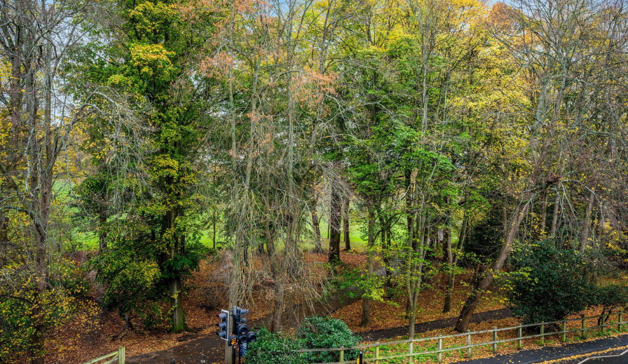 PARK-VIEW_-FLAT-18-_2__1762276421494