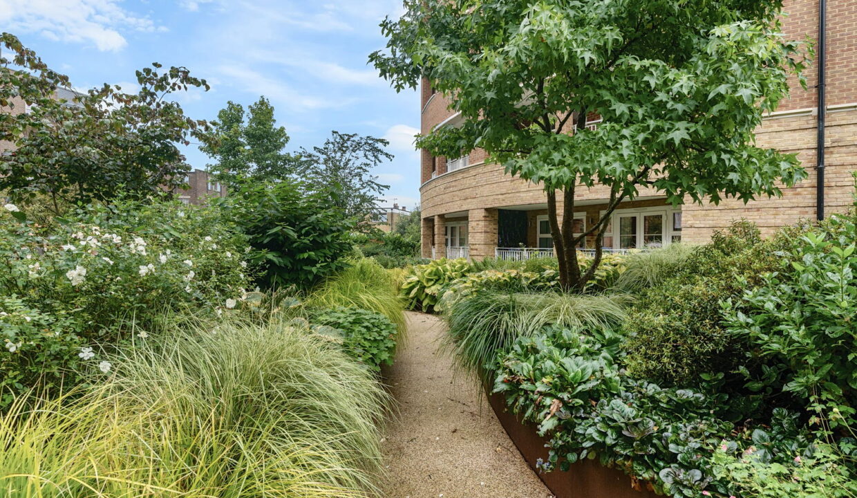 1181965-_24__1768477993816