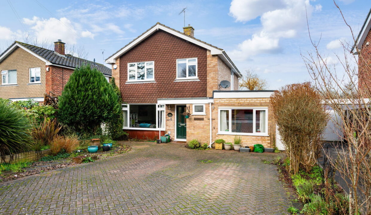 HAYWARDEN_-12-EXTRA-_2__1768912202669