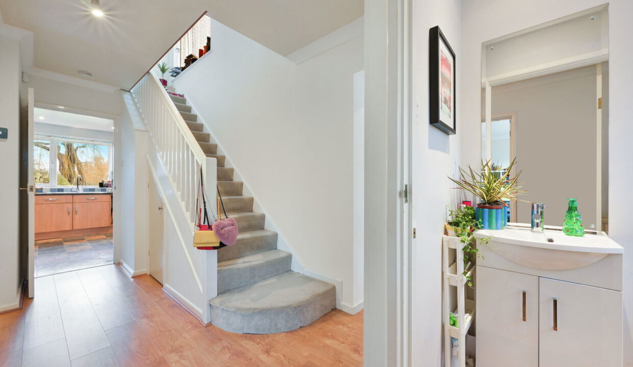 HAYWARDEN_-12-_14__1768846606345