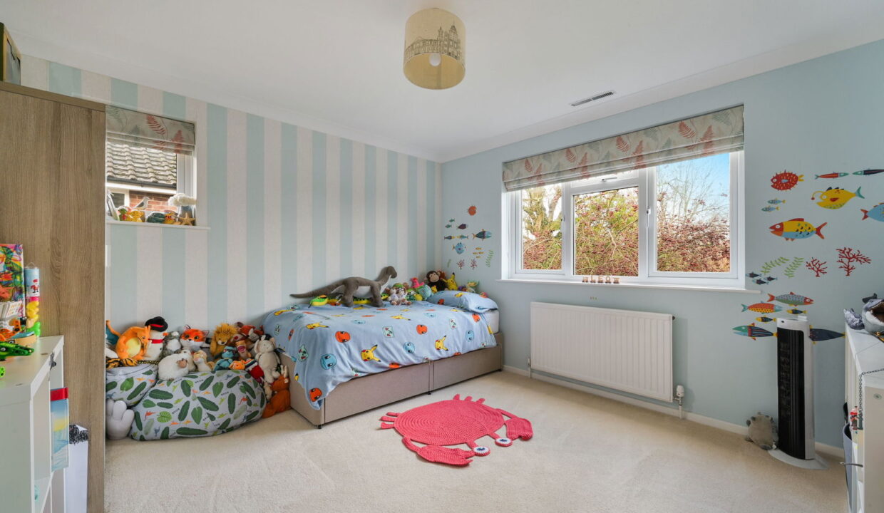 HAYWARDEN_-12-_2__1768846594041