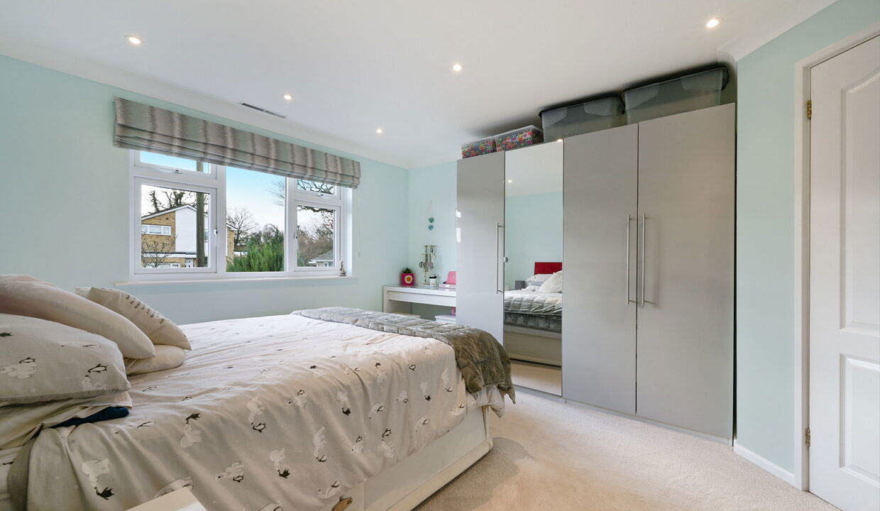 HAYWARDEN_-12-_3__1768846594042