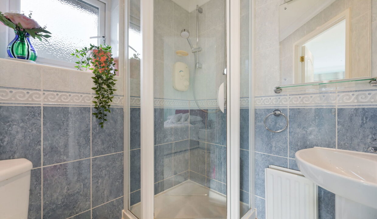 HAYWARDEN_-12-_5__1768846594044