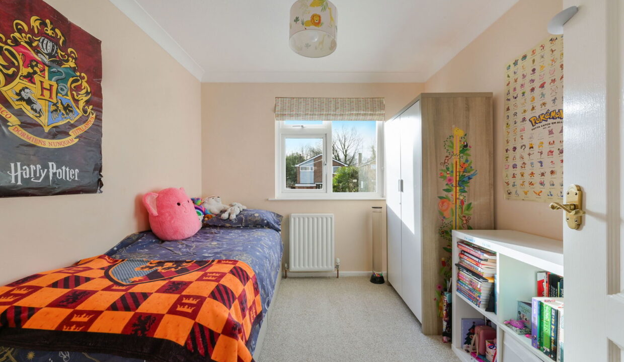 HAYWARDEN_-12-_6__1768846594044