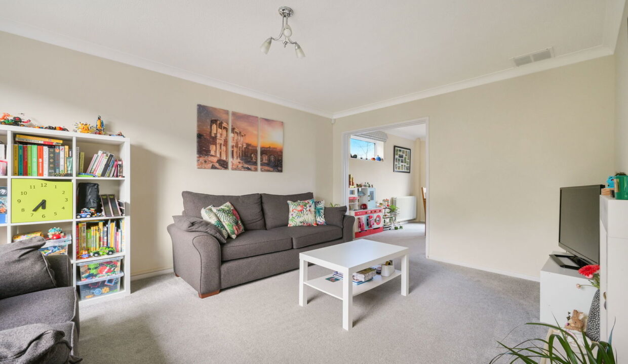 HAYWARDEN_-12-_7__1768846594045