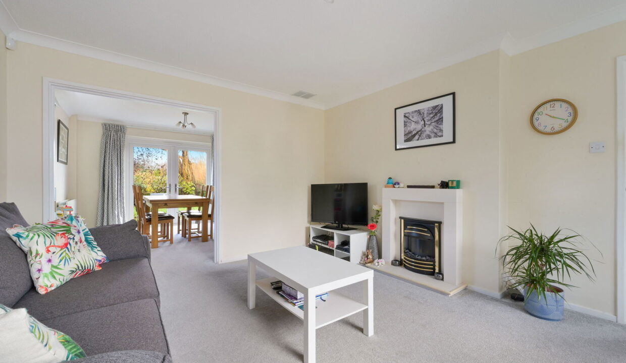 HAYWARDEN_-12-_8__1768846594046