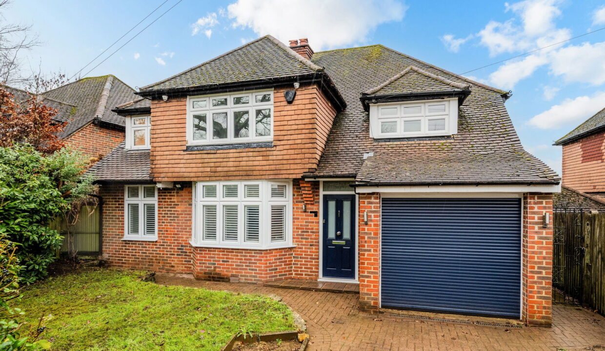 TALL-TREES-_11__1768387658677