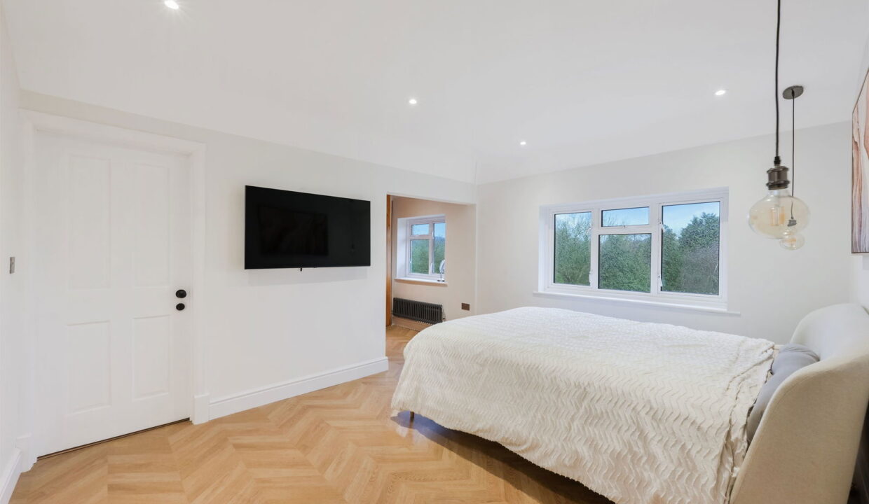 TALL-TREES-_22__1768224447187