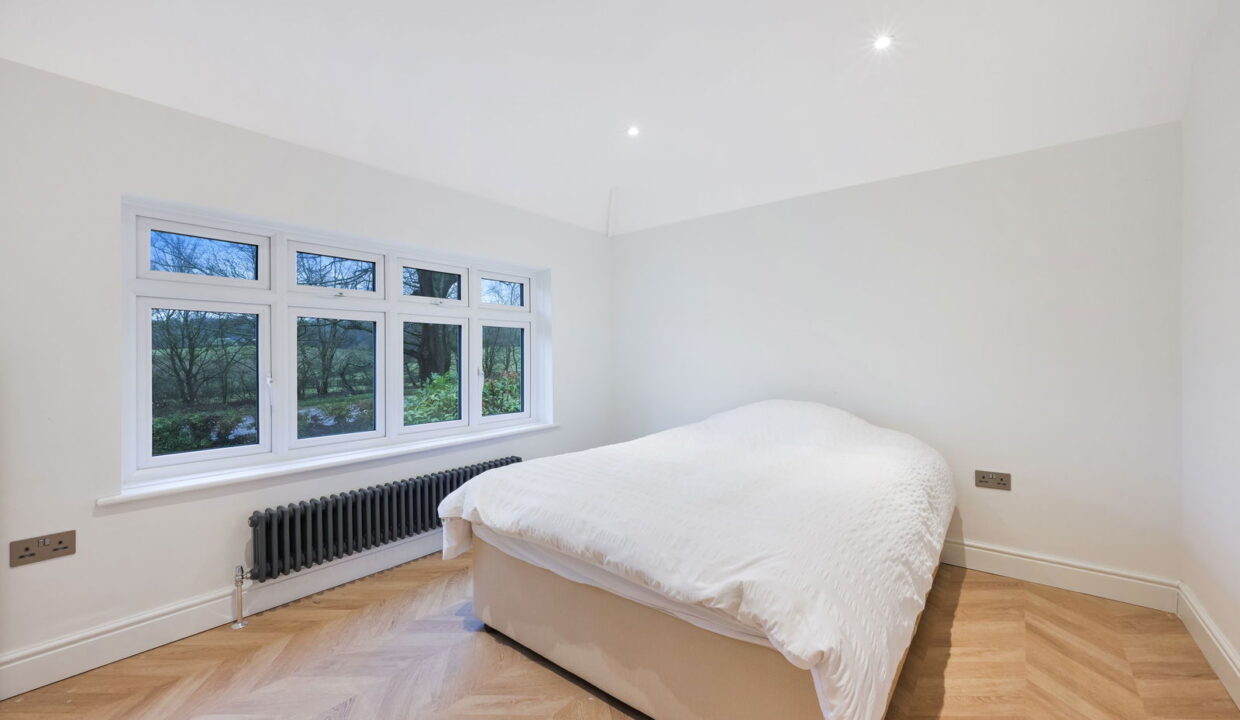 TALL-TREES-_24__1768224482270