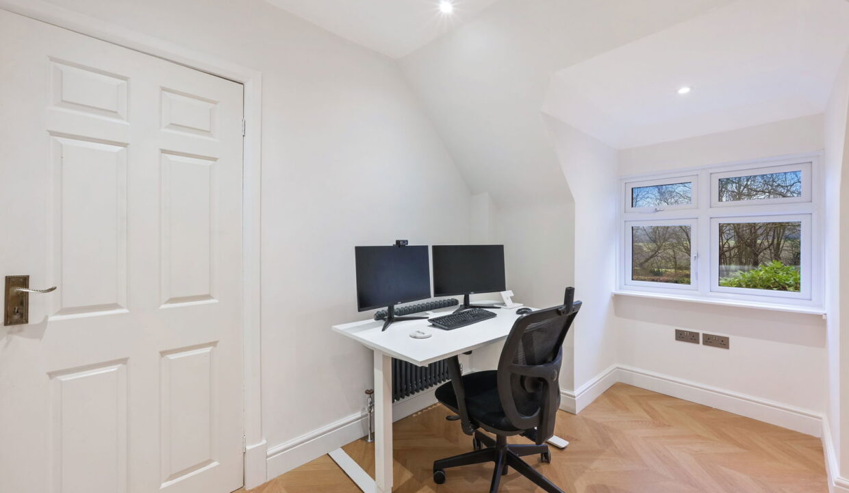 TALL-TREES-_25__1768224482275