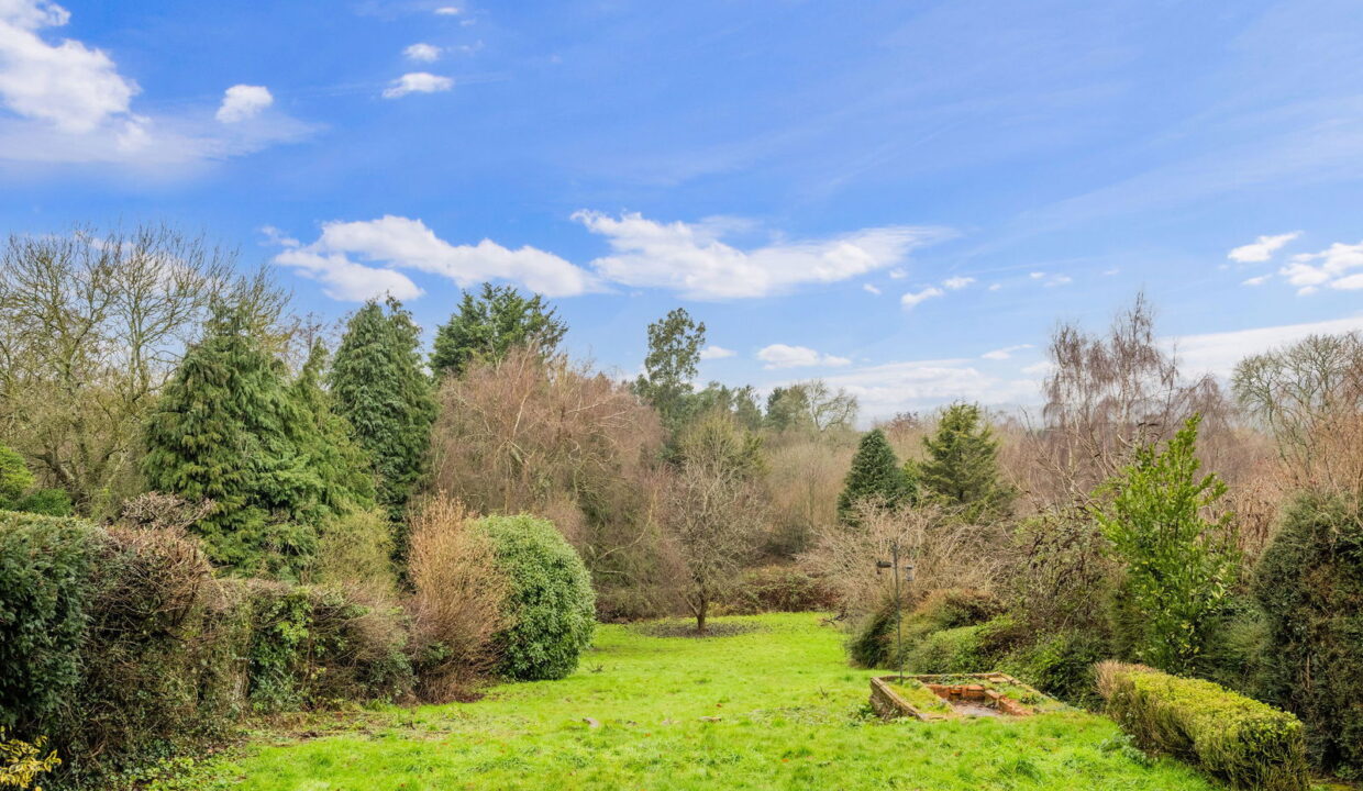 TALL-TREES-_5__1768224361183