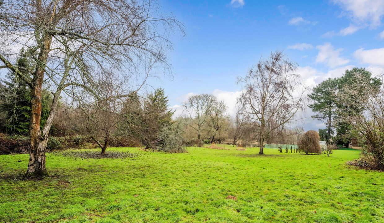 TALL-TREES-_7__1768224361192