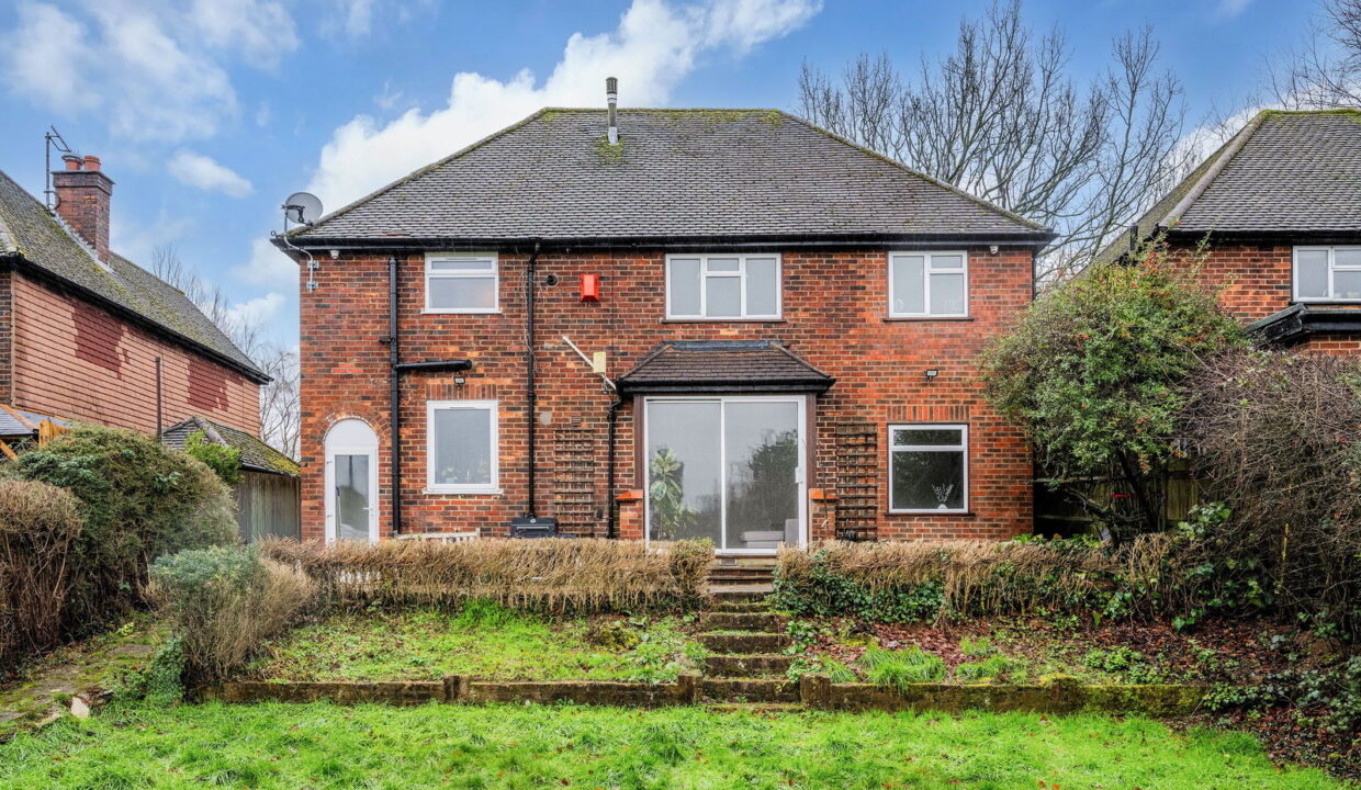 TALL-TREES-_9__1768224396873