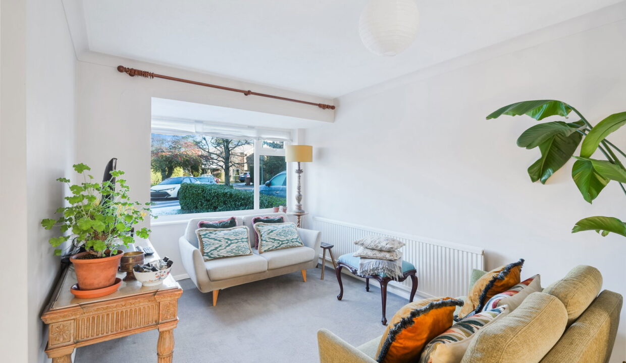 THE-HAWTHORNS_-12-_12__1767709919971