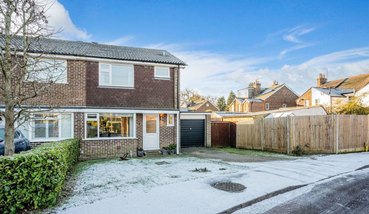 THE-HAWTHORNS_-12-_5__1767709891145