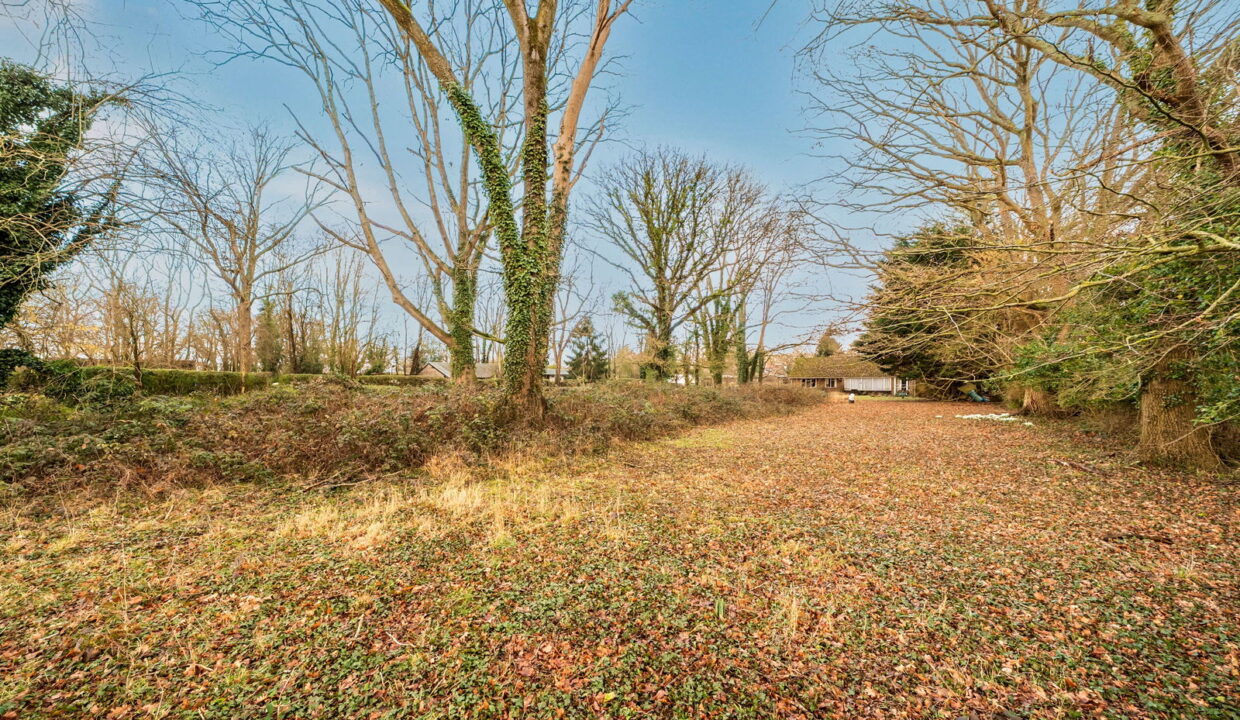 1402816-21-697a114012cee_1769767604172