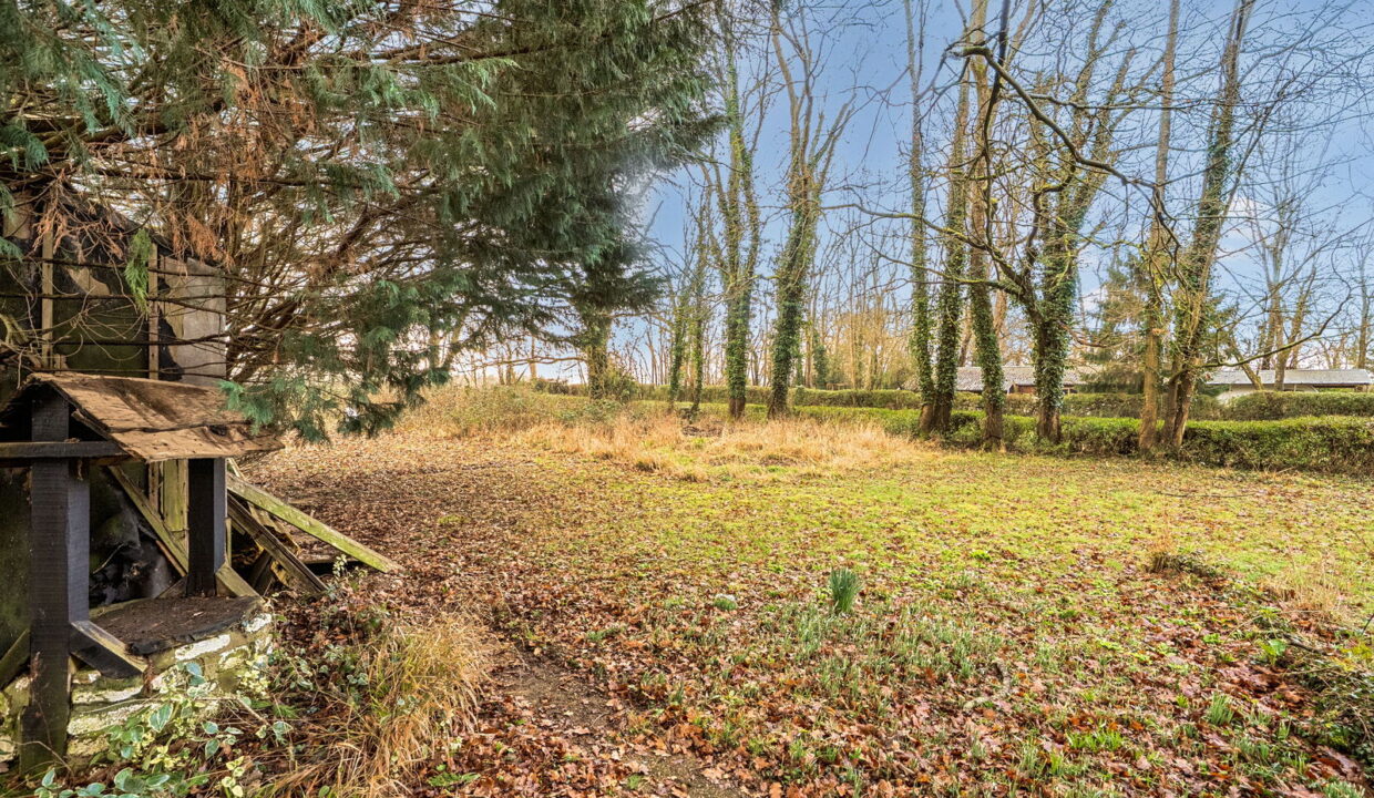 1402816-22-697a1176804fd_1769767604173