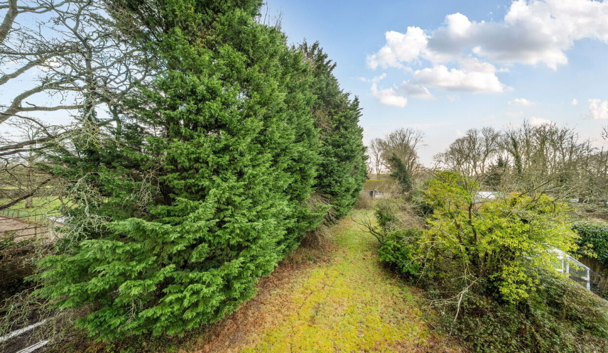 1402816-3-697a11dfe01d0_1769767707261