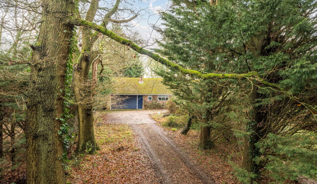 1402816-4-697a11f1d4f61_1769767707262