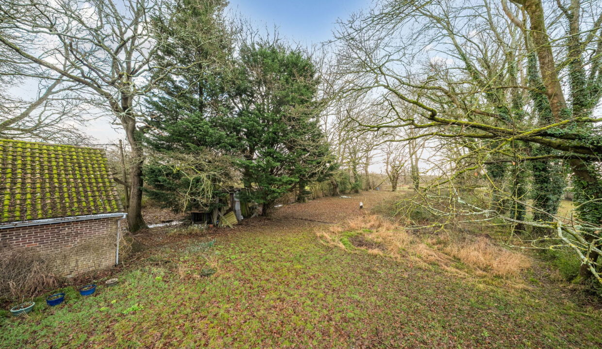 1402816-7-697a123301f68_1769767707264