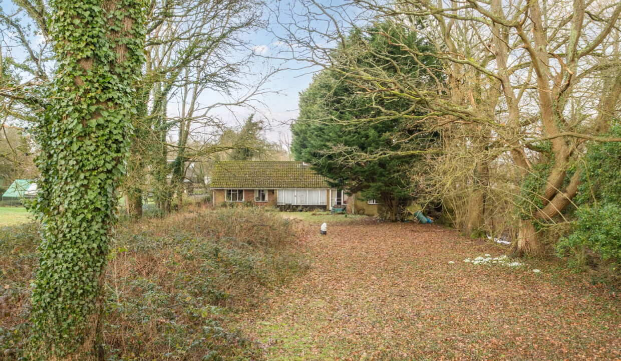 1402816-8-697a1548dd003_1769767707265