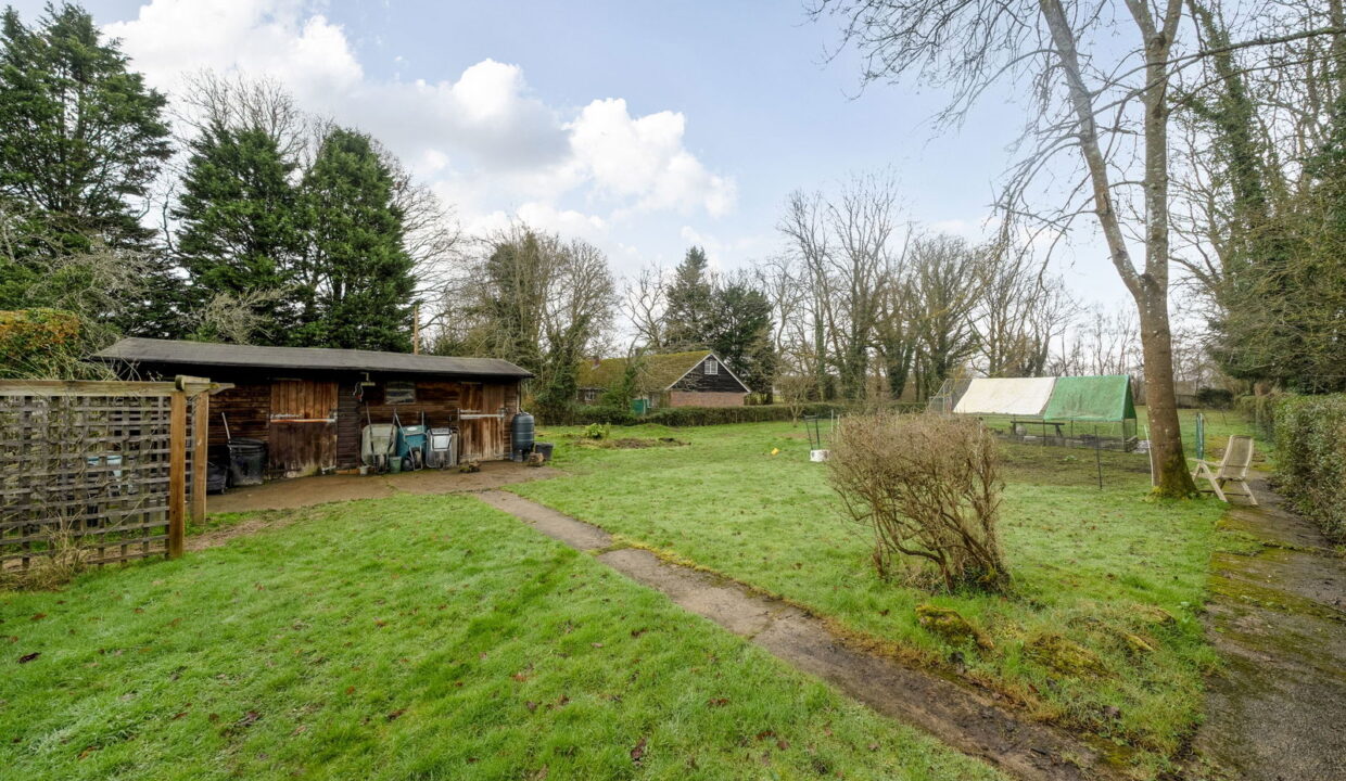 1415533-4-699c4f8fc924c_1772045477616