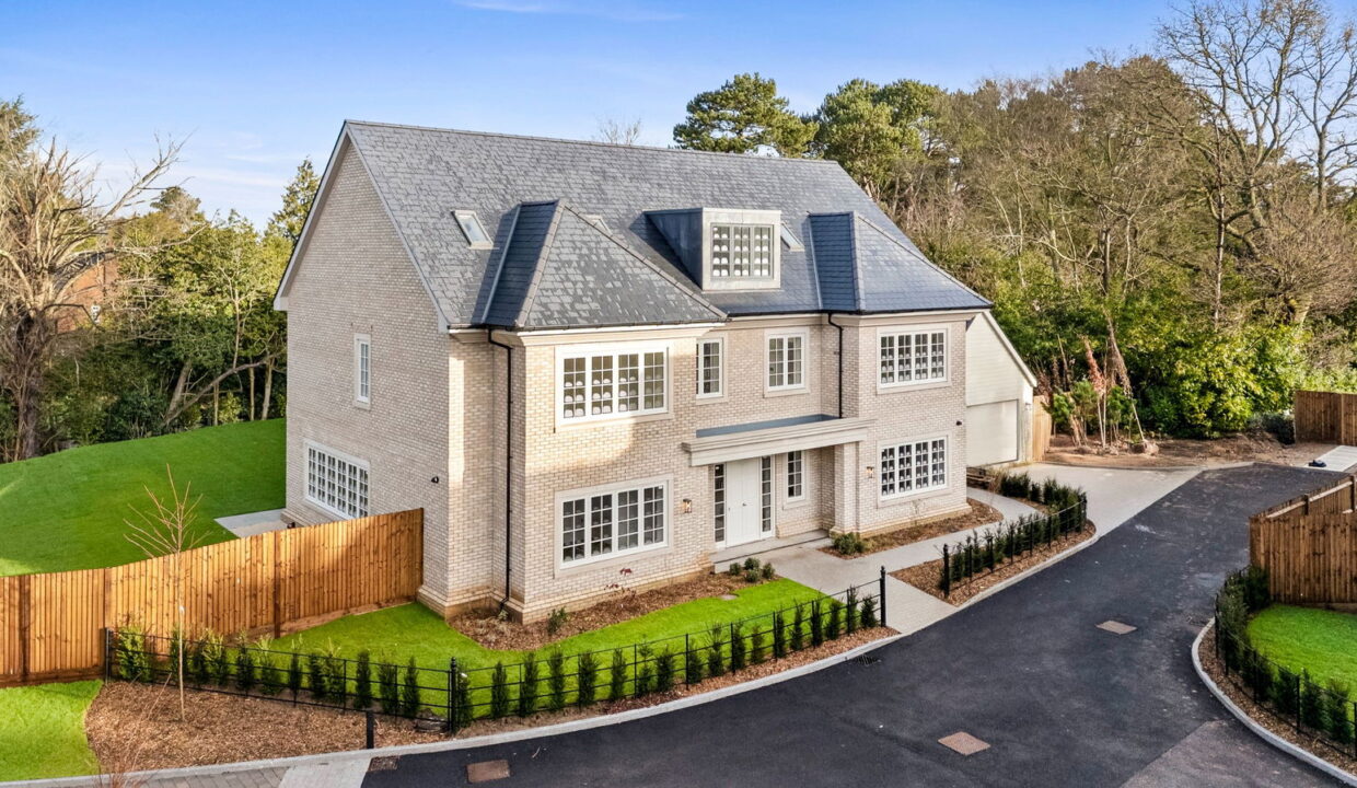 Plot-3-001_1__1770199997422