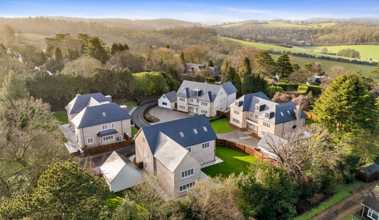 Plot-3-004_1__1770199997427