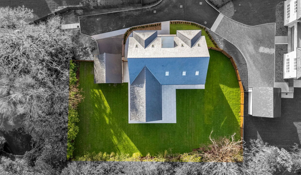 Plot-3-005_1_bw_1770199997430