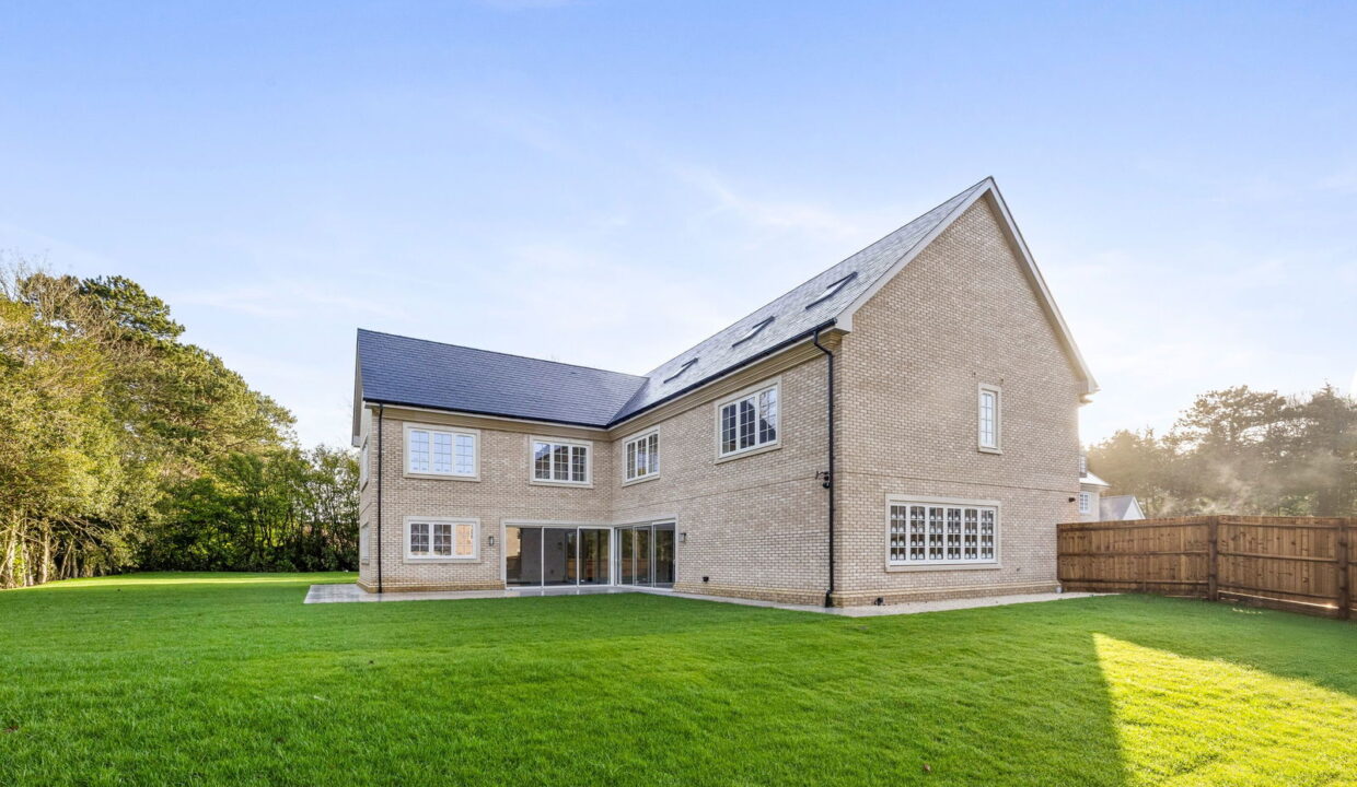 Plot-3-008_1__1770199997434