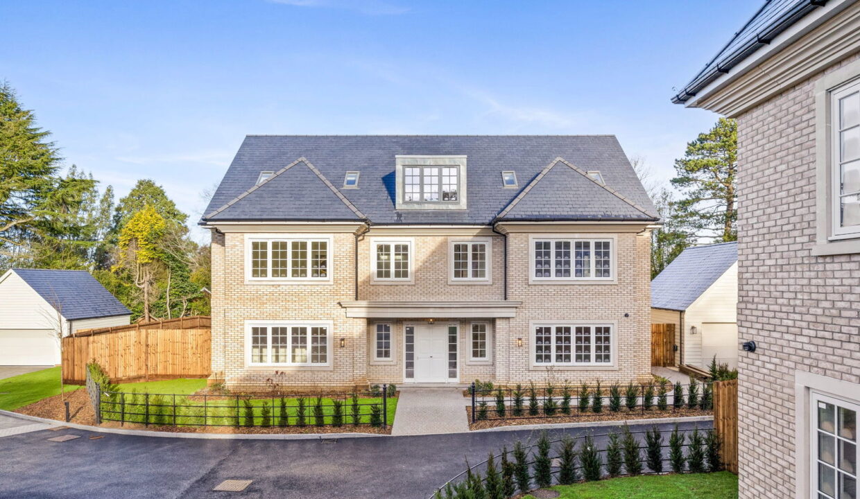 Plot-3-013_1__1770199997444