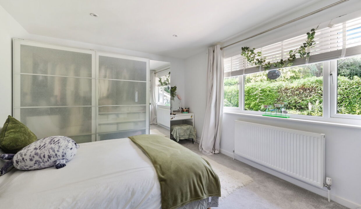 STARLING-_11__1772117411774