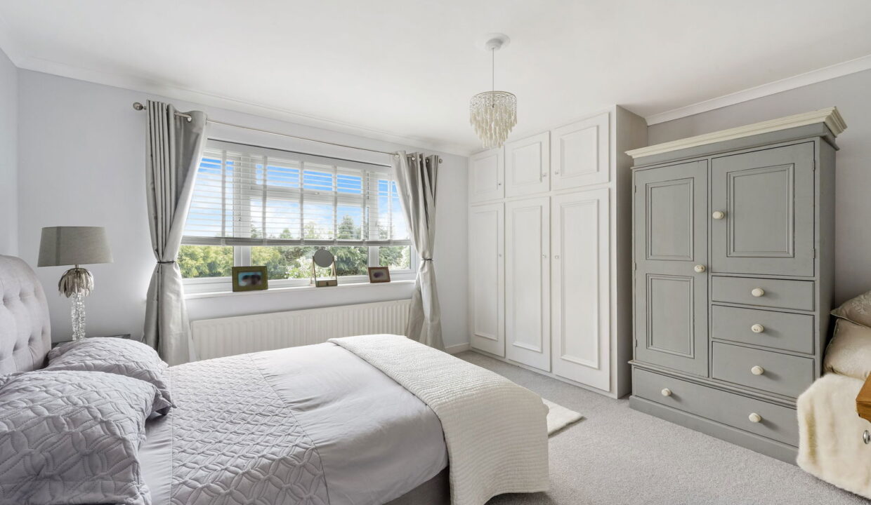 STARLING-_14__1772117429917