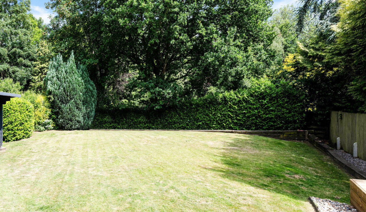 STARLING-_3__1772117411768